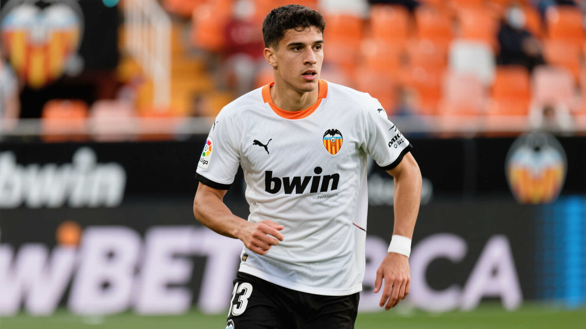 球迷与球场 球迷与球场