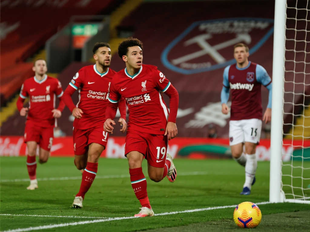 注和培养学 注和培养学