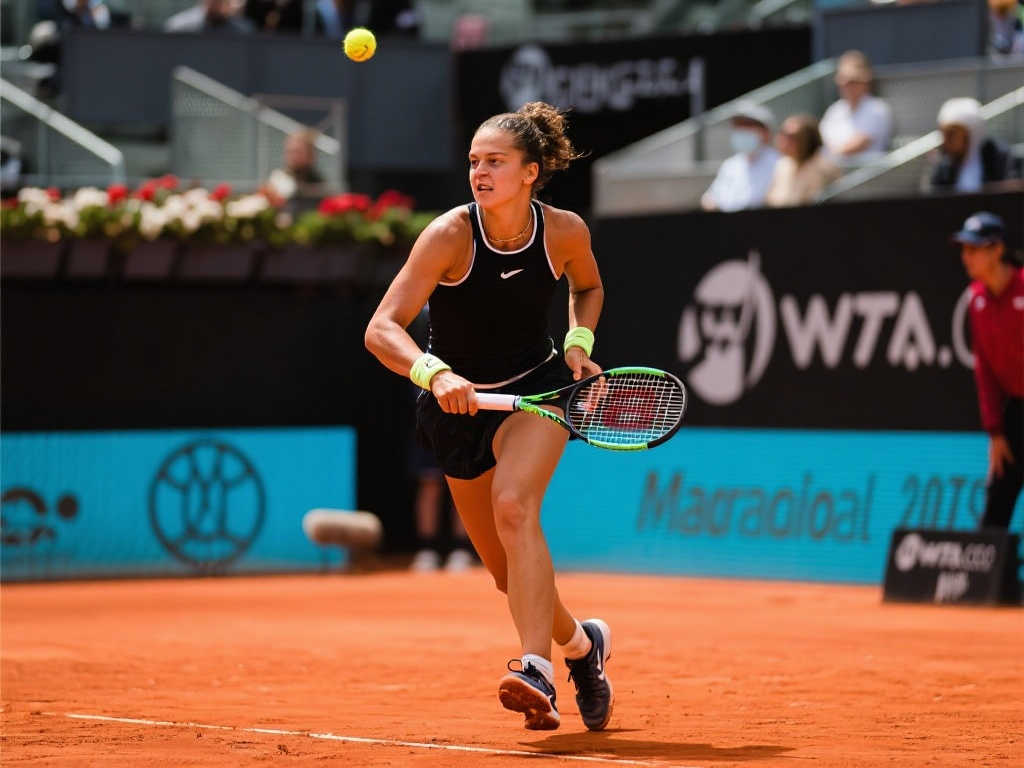 现了高水平 现了高水平